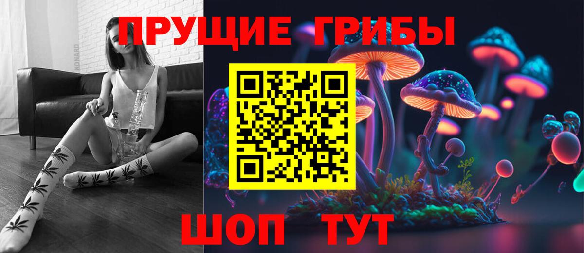 Галлюциногенные грибы Cubensis Белово