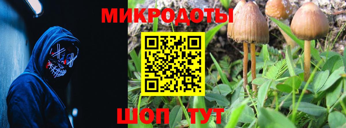 Белово  Галлюциногенные грибы мухоморы  Вход с VPN 
